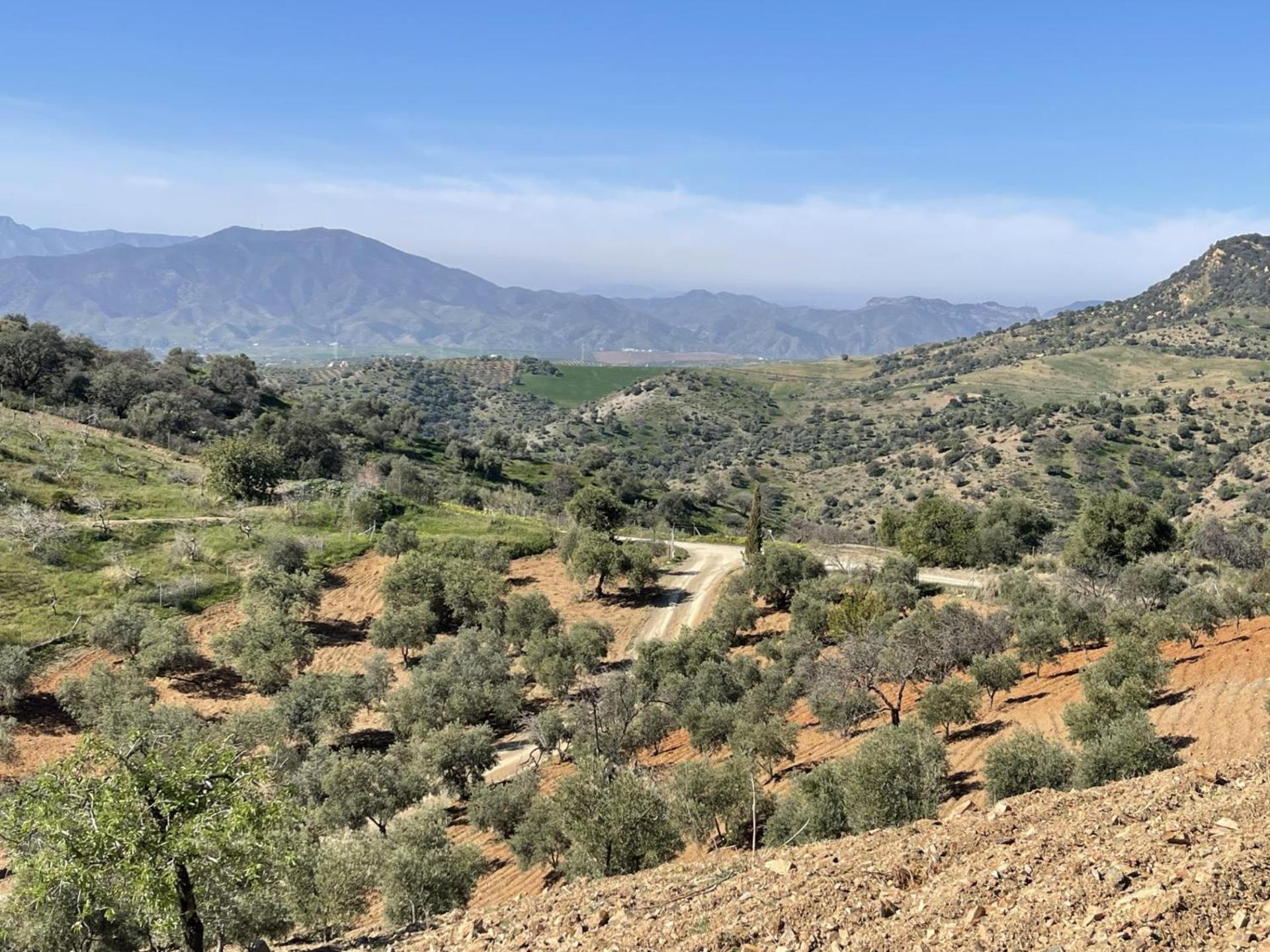 ألورا B&B Sol Y Monte المظهر الخارجي الصورة