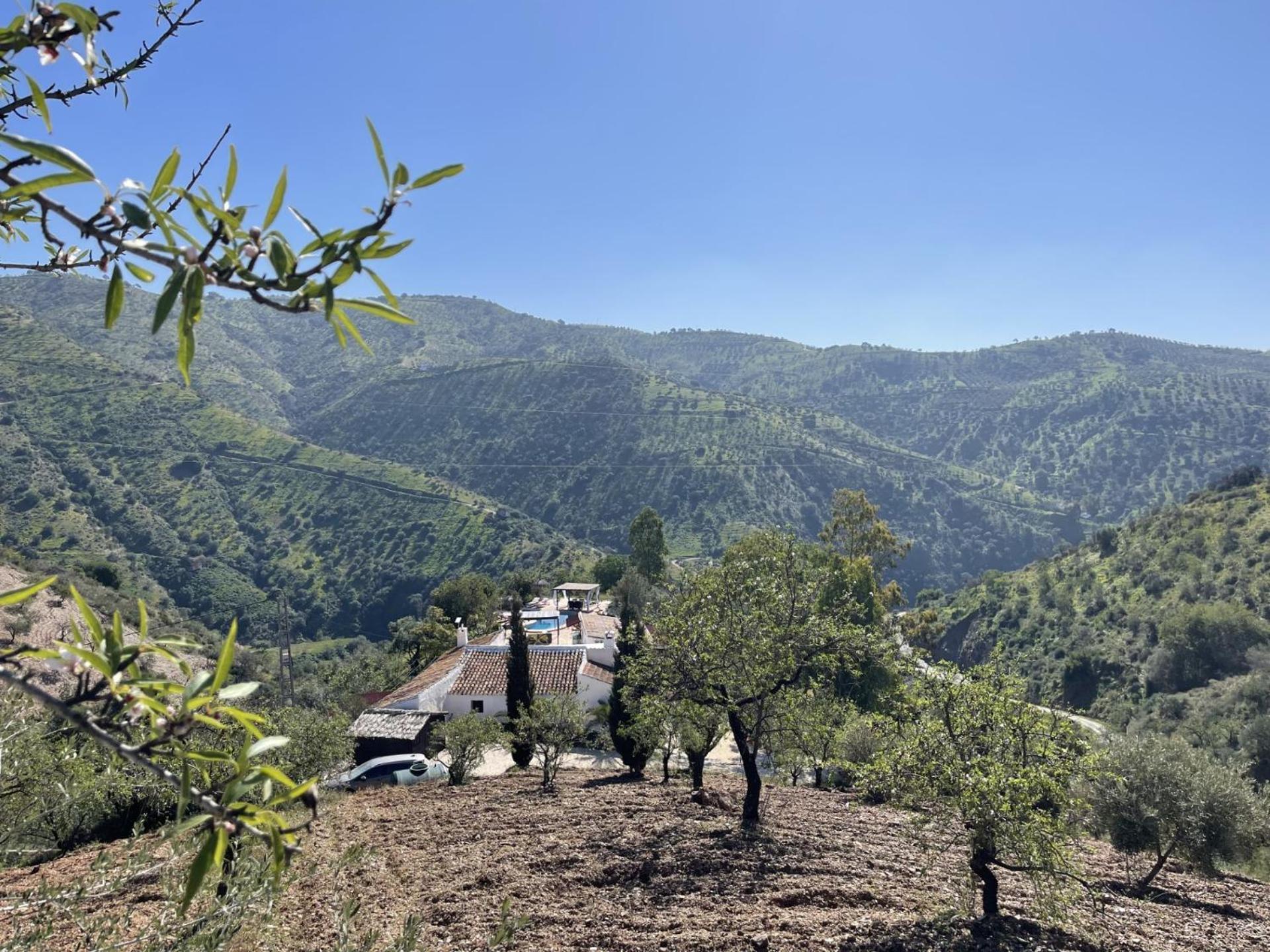 ألورا B&B Sol Y Monte المظهر الخارجي الصورة