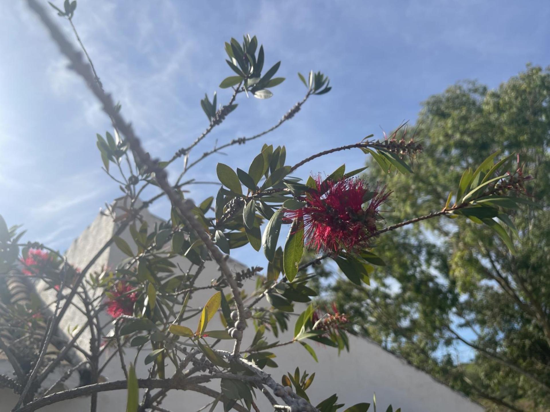 ألورا B&B Sol Y Monte المظهر الخارجي الصورة