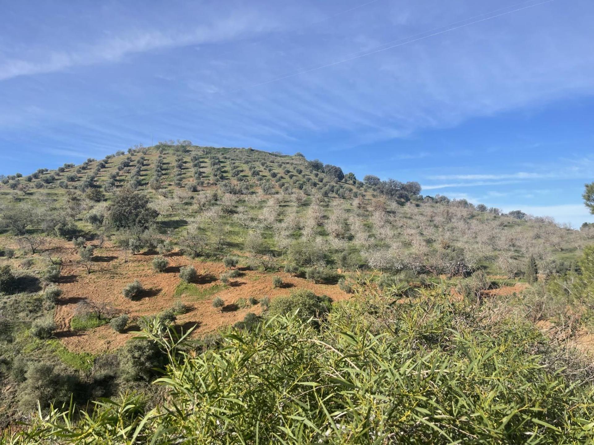 ألورا B&B Sol Y Monte المظهر الخارجي الصورة