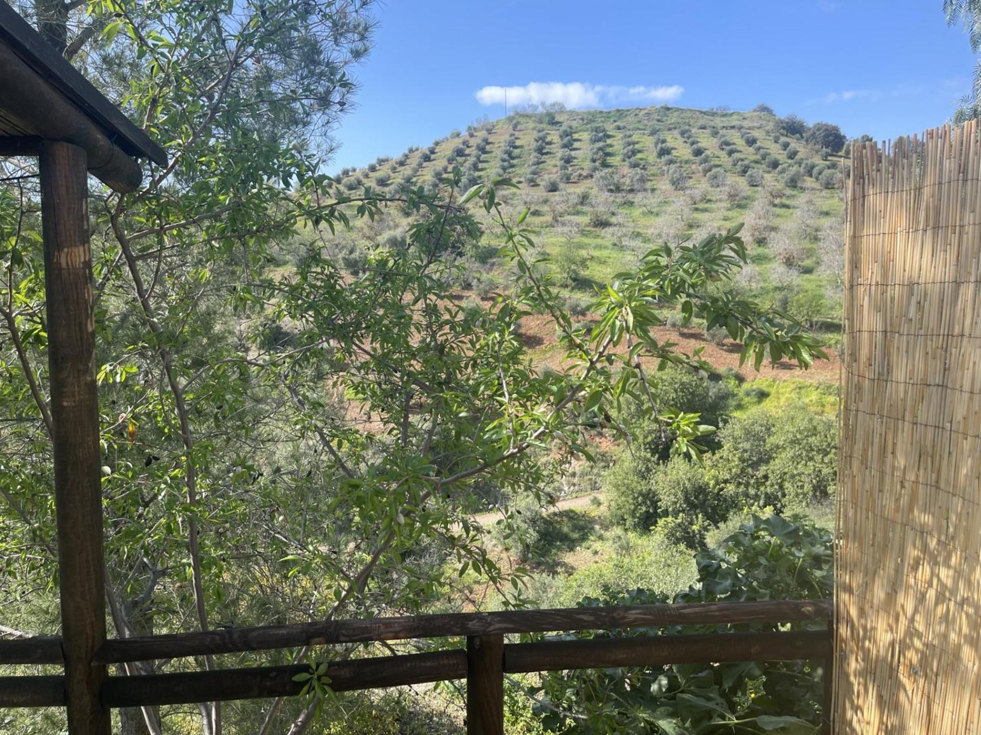 ألورا B&B Sol Y Monte المظهر الخارجي الصورة
